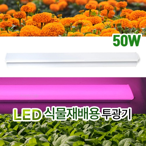 LED 식물재배용 PG등기구 1200mm 방습등 50W